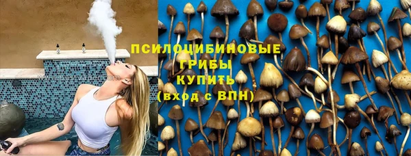 амф Абаза