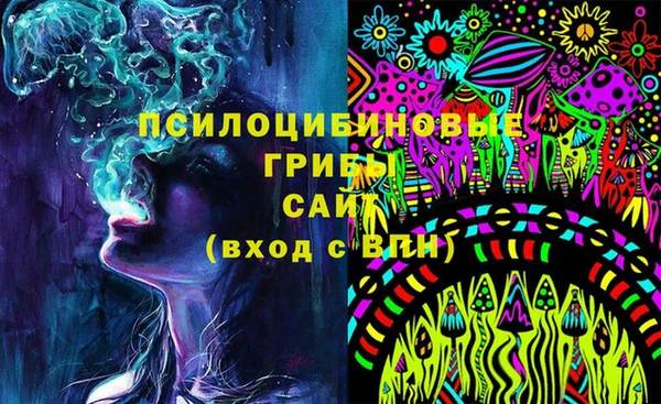 амф Абаза