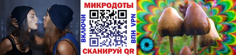 Галлюциногенные грибы мицелий Яблоновский